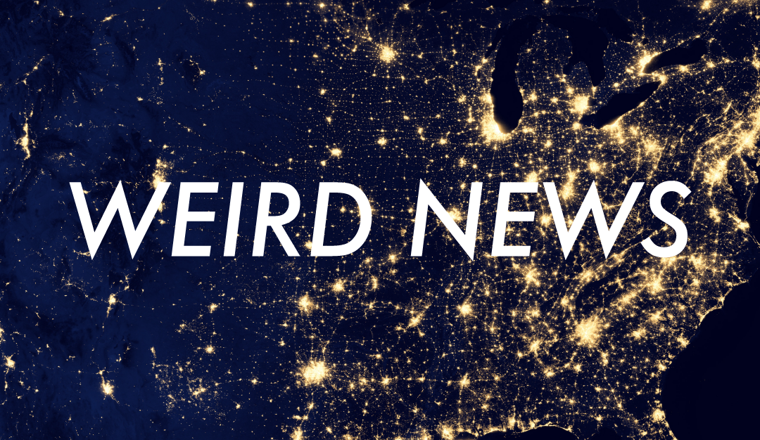 #122: Weird News: Dobby’s Loose, & Others